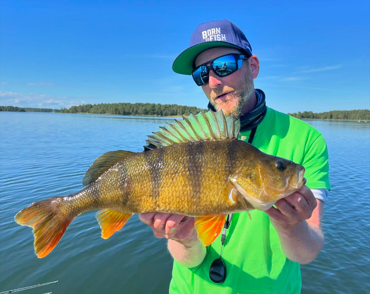 Renz Beastly Stripe MB Multi Combo